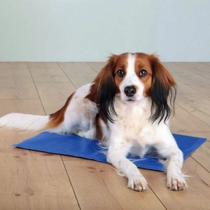 Trixie Tapis de refroidissement bleu L 65x50cm