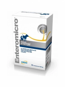 Geulincx Enteromicro 32pcs