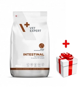 Vetexpert Veterinary Diet Dog Intestinal 12kg+Surprise