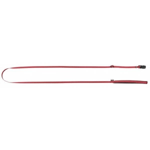 KERBL Laisse GoLeyGo 2.0 Flat Rouge pour chien 20mm x 140-200cm,M, max.60kg