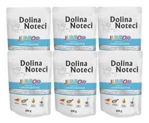 Dolina Noteci Premium Junior riche en agneau 24x300g