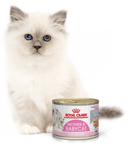 ROYAL CANIN Mother & Babycat Ultra Soft Mousse 195g x12