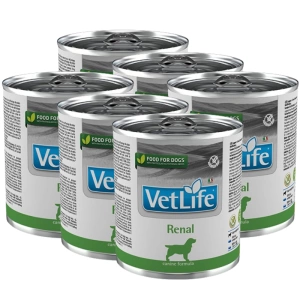 Farmina Vet Life Canine Renal  6x300g