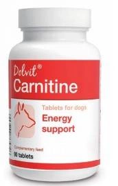 Dolfos Dolvit Carnitine 90 comprimés x2
