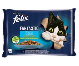 FELIX Fantastic Saveurs campagnardes en gelée de saumon et de truite 4x85g