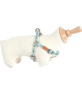 Harnais ZOLUX IMAO TAIGA 25 mm, bleu