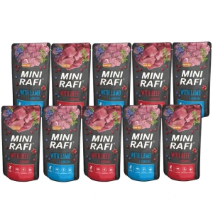 DOLINA NOTECI Mini Rafi mélange de saveurs 10x150g