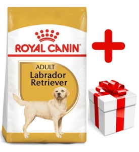 ROYAL CANIN Labrador Retriever Adult 12kg+Surprise
