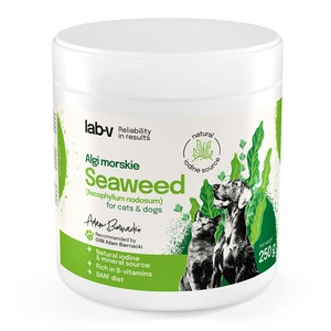 Lab-v Algues marines – une source naturelle d’iode et de minéraux pour chiens et chats 400 g