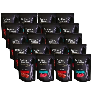 Dolina Noteci Premiumplat pour chats Mix de saveurs 20x85g