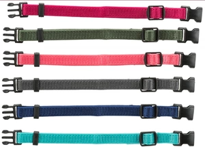 Trixie Junior Jeu de colliers pour chiots Taille M-L (Bright) 6pcs