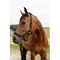 Licol Goleygo 4 avec adaptateur, noir/rose