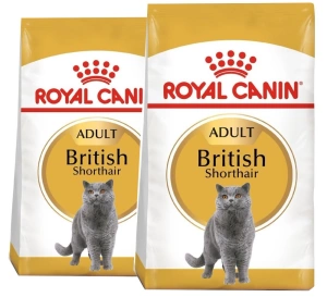 ROYAL CANIN British Shorthair Adult 2x10kg
