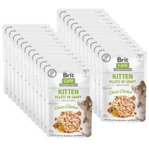 BRIT CARE Cat Kitten Fillet in Sauce Choice Chicken enrichi avec de l'argousier et de la capucine 24x85g