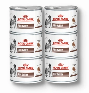 ROYAL CANIN Recovery 6x195g
