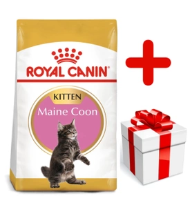 ROYAL CANIN Maine Coon Kitten 10kg+Surprise