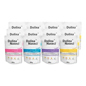 Dolina Noteci Premium pour petits chiens  JUNIOR MIXTE TASTES 12x100g