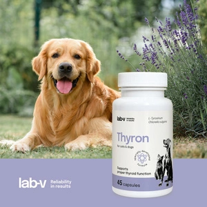 LAB-V Thyron - Pour une fonction thyroïdienne normale chez le chien et le chat 45 gélules