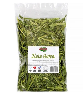 ALEGIA Herbe d'avoine 80g