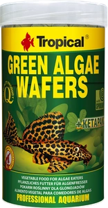 Tropical Green Algae Wafers 250ml x2