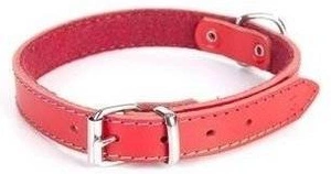 Dingo Classic Collier en cuir doublé de mousse pour chiens rouge 24cm