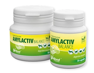 VETFOOD Amylactiv Balance 60 comprimés