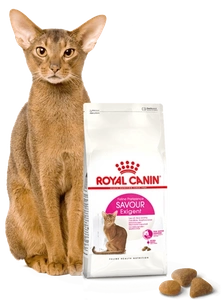 ROYAL CANIN Savour Exigent 4kg