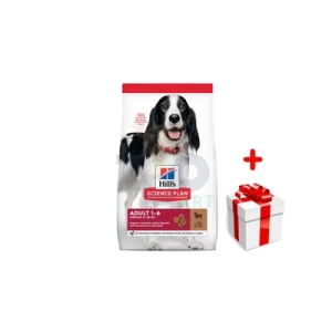 Hill's SP Science Plan Canine Adult Medium Breed Agneau et riz 14kg+Surprise