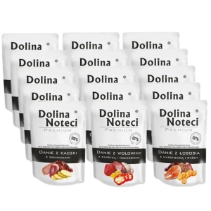 DOLINA NOTECI Plat mélange de saveurs 15x100 g - nourriture humide pour chien