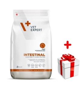 VETEXPERT Veterinary Diet Cat Intenstinal 2kg + surprise pour votre chat GRATUITES !