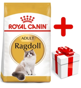 ROYAL CANIN Ragdoll Adult 10kg+Surprise