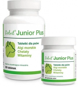 Dolvit Junior Plus Mini 90 comprimés
