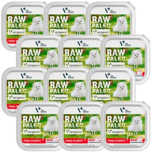 Vetexpert RAW PALEO PATE MINI chiot boeuf 12x150g - boîte de boeuf