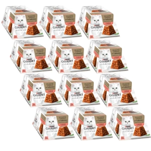 Révélations GOURMET Morceaux délicats en gelée au saumon 12x(2x57g)