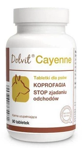 Dolfos Dolvit Cayenne 90 comprimés