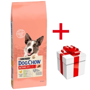 PURINA Dog Chow Adult Active Chicken 14kg+Surprise