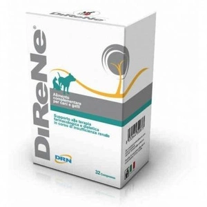 Geulincx Direne 32pcs