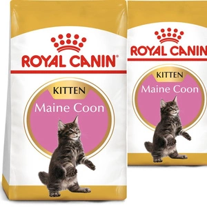 ROYAL CANIN Maine Coon Kitten 2x10kg