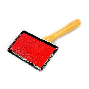Brosse caniche simple face DINGO avec cadre en métal « L »