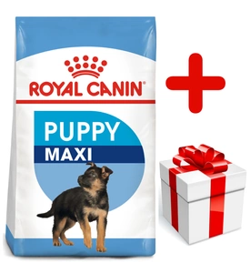 ROYAL CANIN Maxi Puppy 15kg + Surprise pour votre chien GRATUITES !