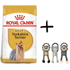 ROYAL CANIN Yorkshire Terrier Adult 500g+ Jouet en peluche pour chien/chat avec couineur (tigre/éléphant/singe)