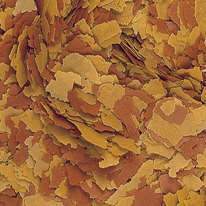 Tropical Vitality&Color 5000ml