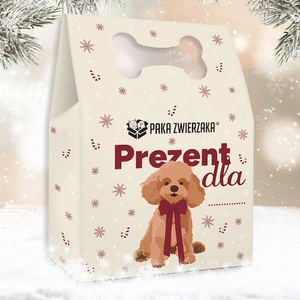 Paka Zwierzaka Coffret de Noël pour chien