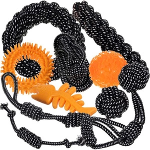 Ensemble de jouets pour chien Purlov - 10 pièces.