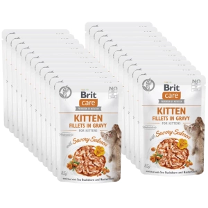 BRIT CARE Cat Chaton Filets en sauce au saumon savoureux enrichis à l'argousier et à la capucine 24x85g