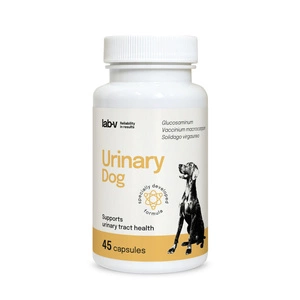 LAB-V Urinaire Chien - Soutien pour l'infection urinaire chez le chien 45 gélules