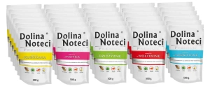 Dolina Noteci Premium MIX de saveurs 30x500 g