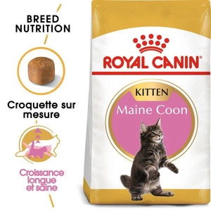 ROYAL CANIN Maine Coon Kitten 2kg x2