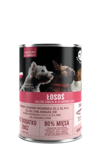 PetRepublic morceaux en sauce au saumon 400g pour chiens