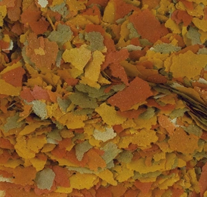 Tropical Goldfish Color 500ml